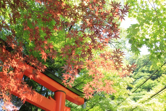 稲荷神社の鳥居